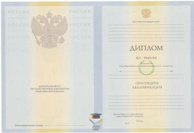 Диплом ВГИК 2010-2011 годов